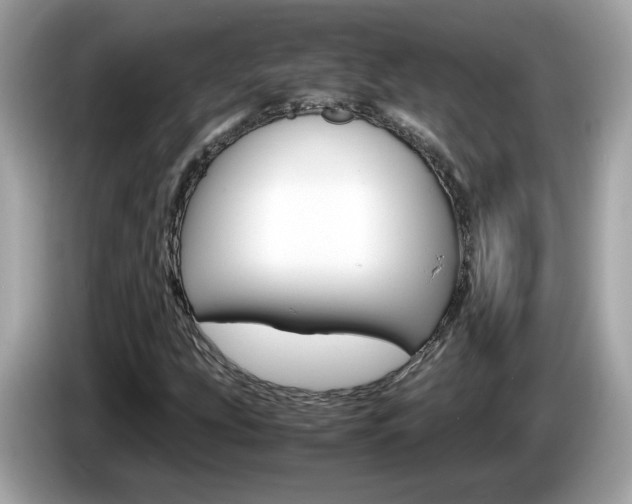 X0000086241207200703290958