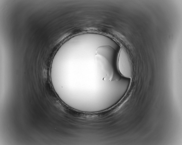 X0000086241209200703290958
