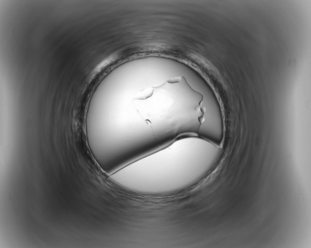 X0000086241210200703290958
