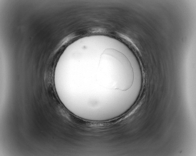 X0000086241211200703290958
