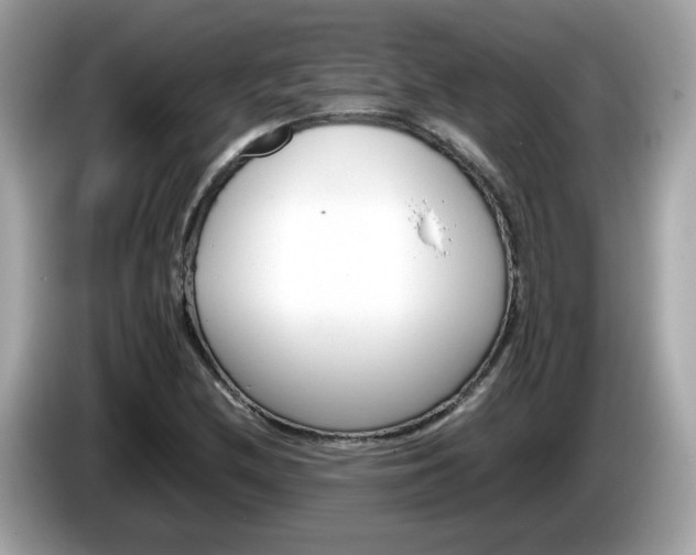 X0000086241212200703290958