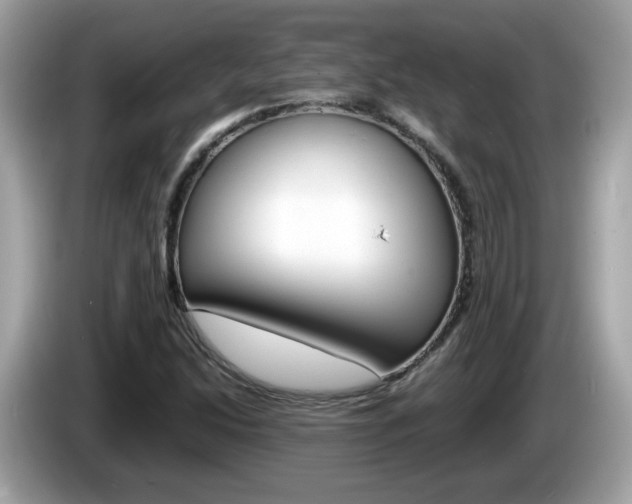 X0000086241214200703290958