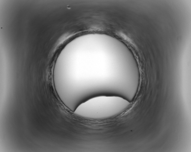 X0000086241215200703290958
