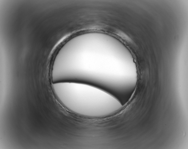 X0000086241216200703290958