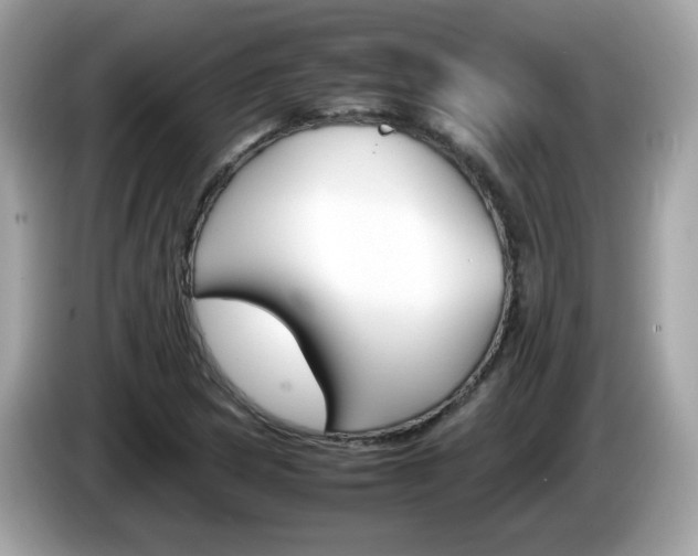 X0000086241217200703290958
