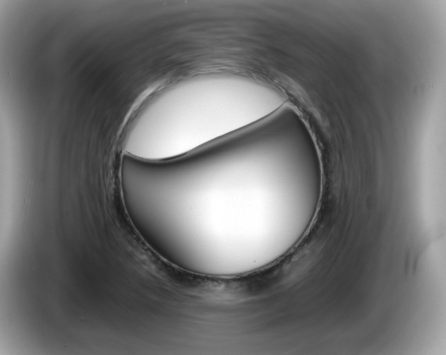 X0000086241218200703290958