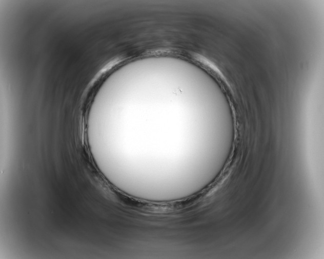 X0000086241219200703290958