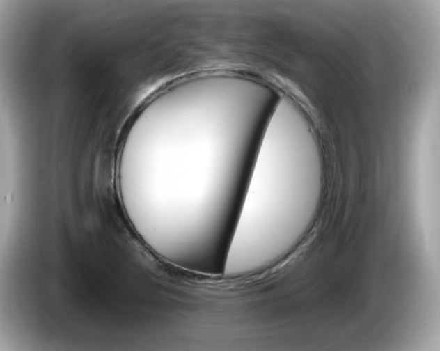 X0000086241220200703290958