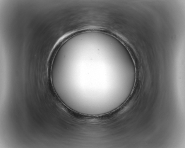 X0000086241222200703290958