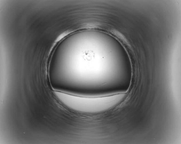 X0000086241226200703290958