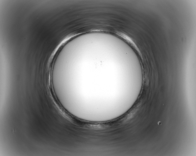 X0000086241227200703290958