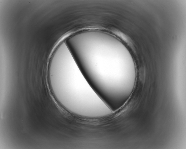 X0000086241229200703290958