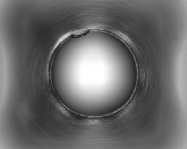 X0000086241230200703290958