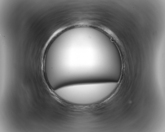 X0000086241232200703290958