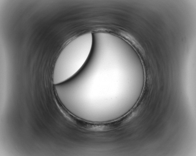 X0000086241233200703290958