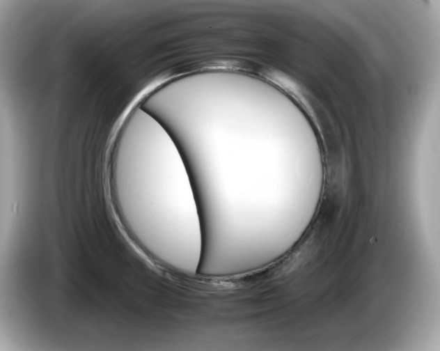 X0000086241235200703290958