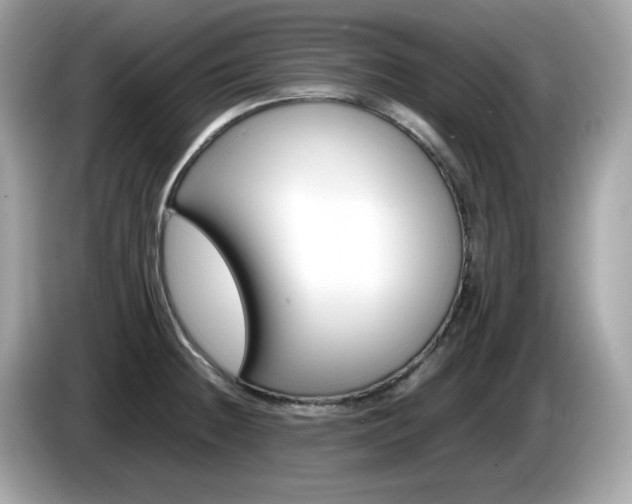 X0000086241236200703290958