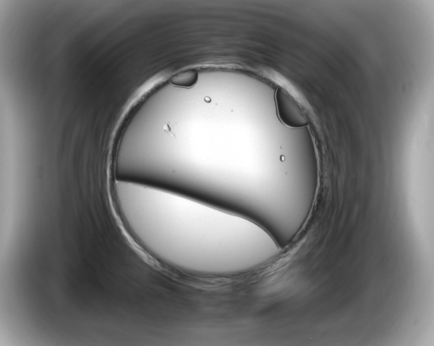X0000086241237200703290958