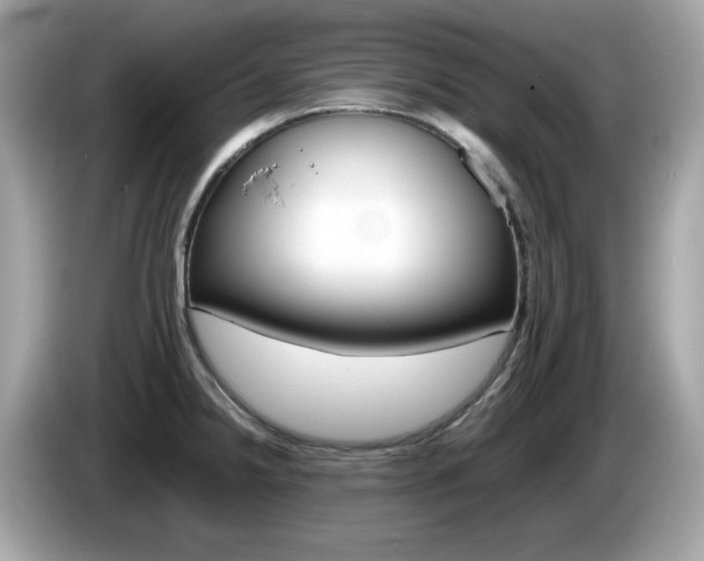X0000086241238200703290958