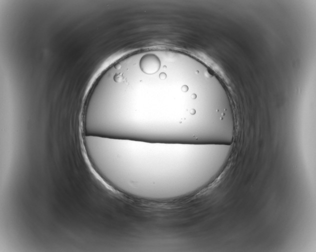 X0000086241239200703290958