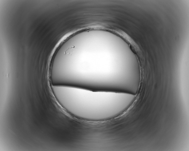 X0000086241240200703290958