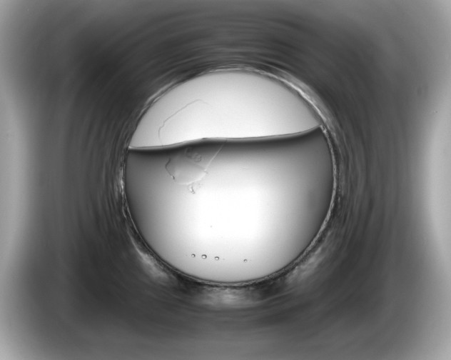 X0000086241241200703290958