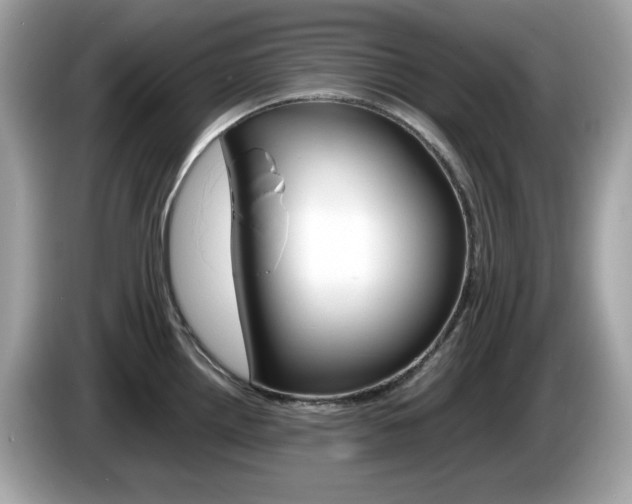 X0000086241242200703290958