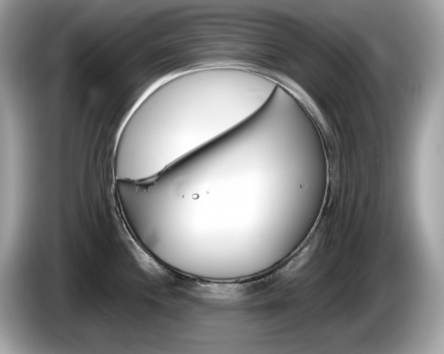 X0000086241244200703290958