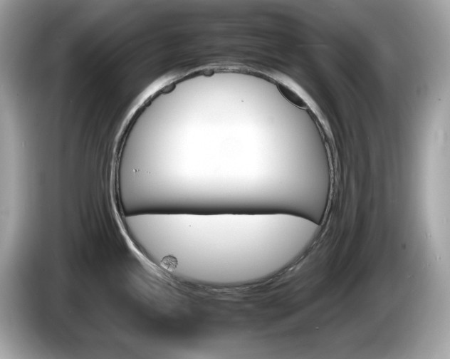 X0000086241245200703290958
