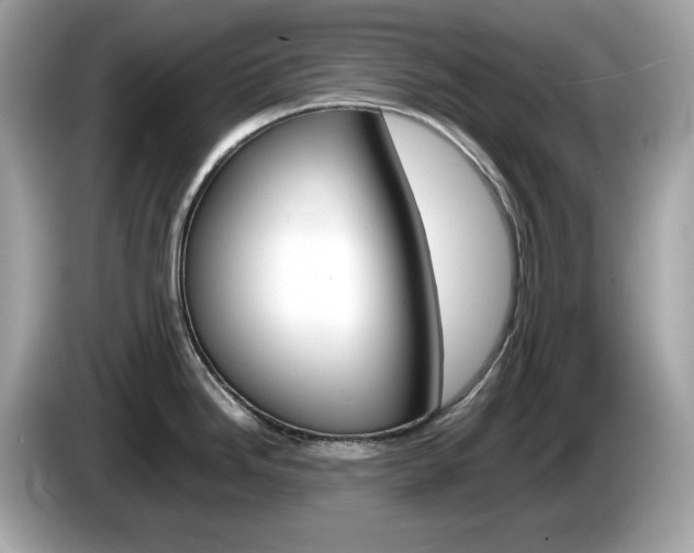 X0000086241246200703290958