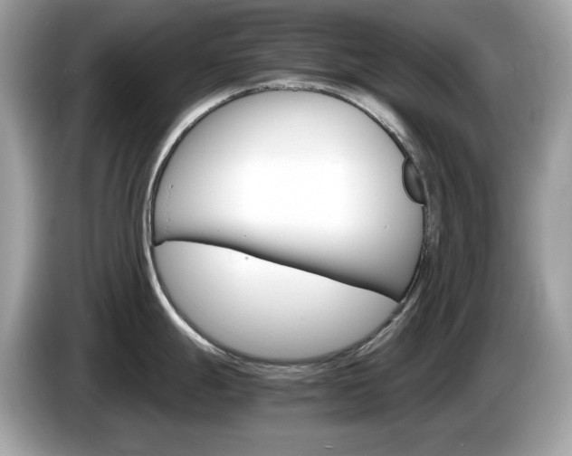 X0000086241247200703290958