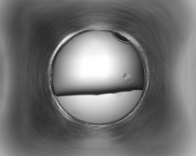 X0000086241248200703290958