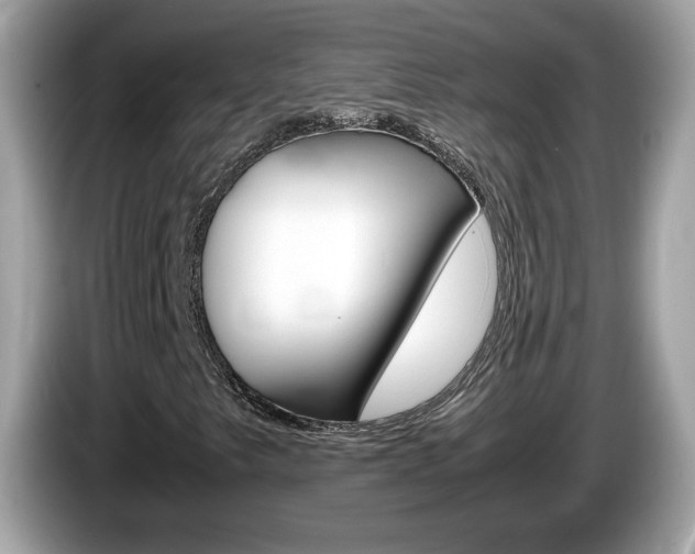 X0000086241249200703290958