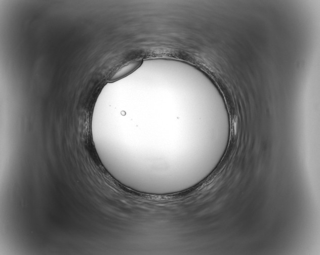 X0000086241251200703290958