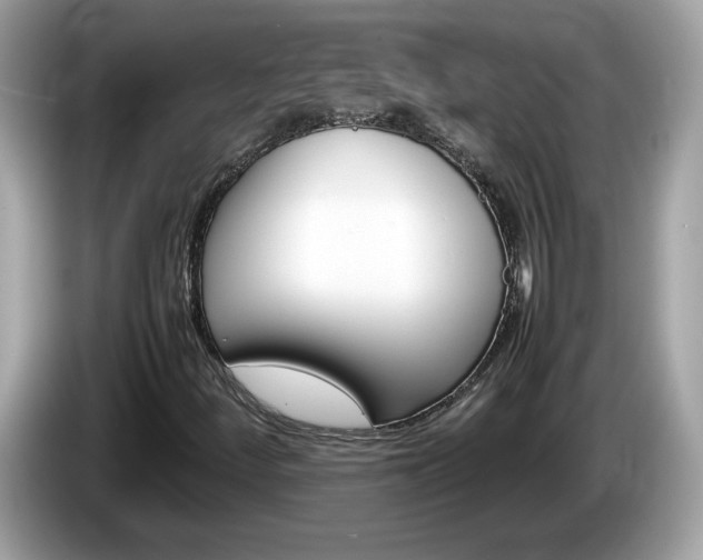 X0000086241252200703290958