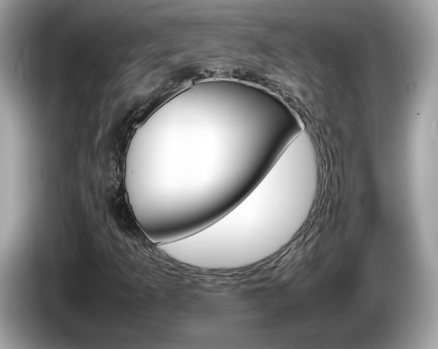 X0000086241253200703290958