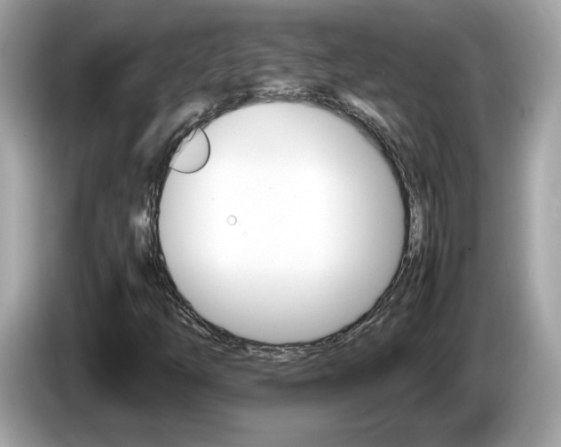 X0000086241254200703290958