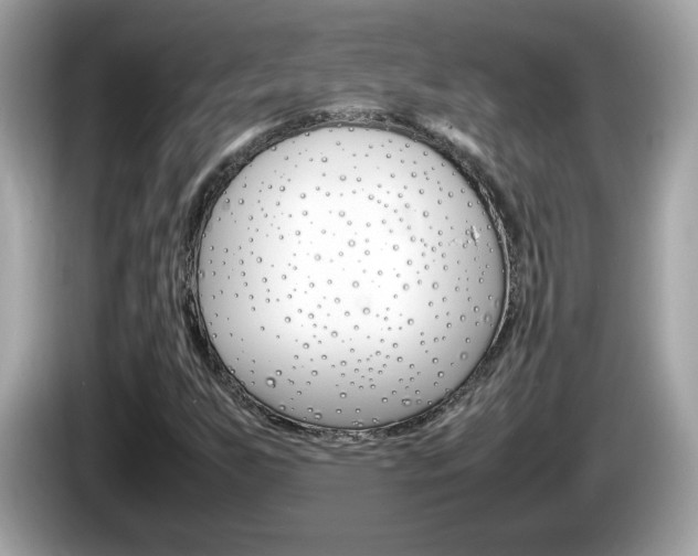 X0000086241255200703290958