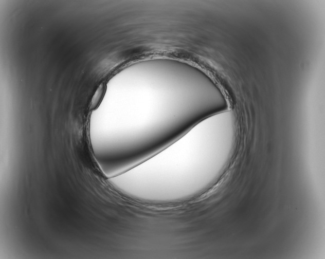 X0000086241257200703290958