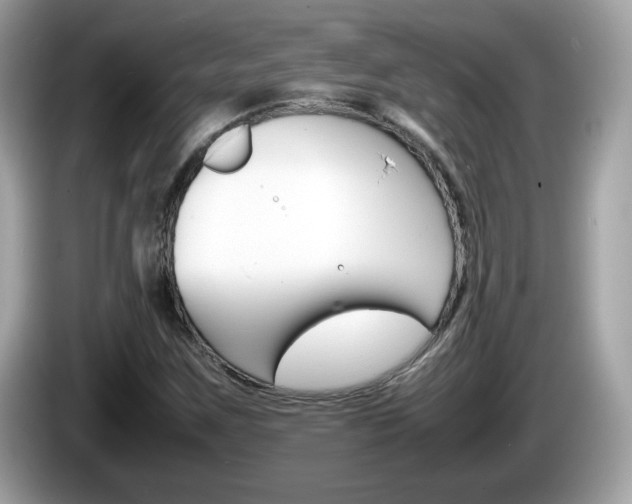 X0000086241259200703290958