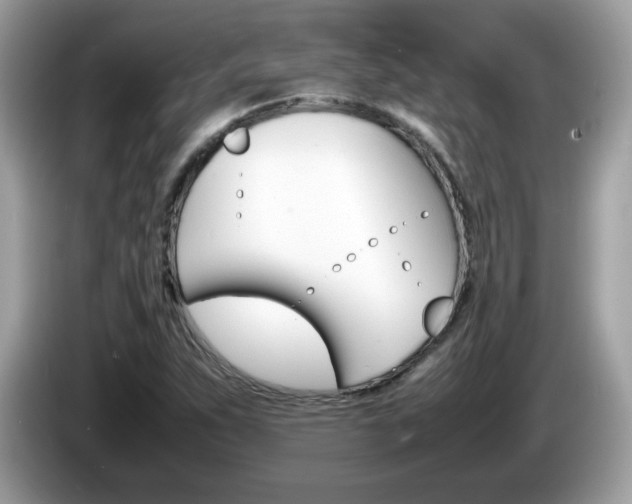 X0000086241263200703290957