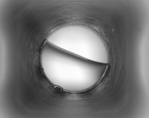 X0000086241265200703290957