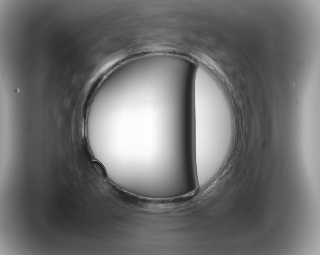 X0000086241269200703290957