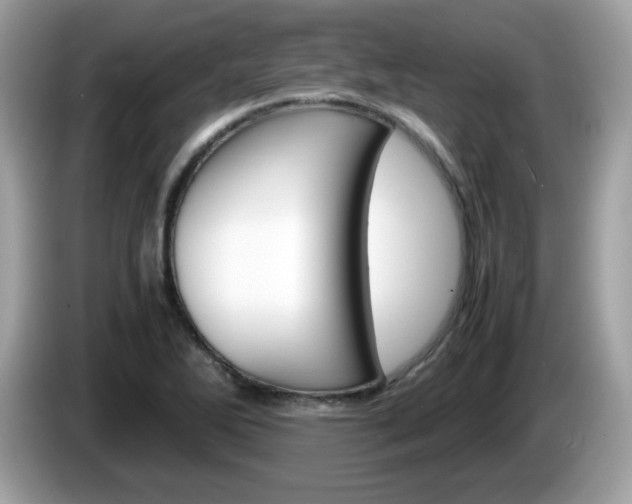 X0000086241270200703290957