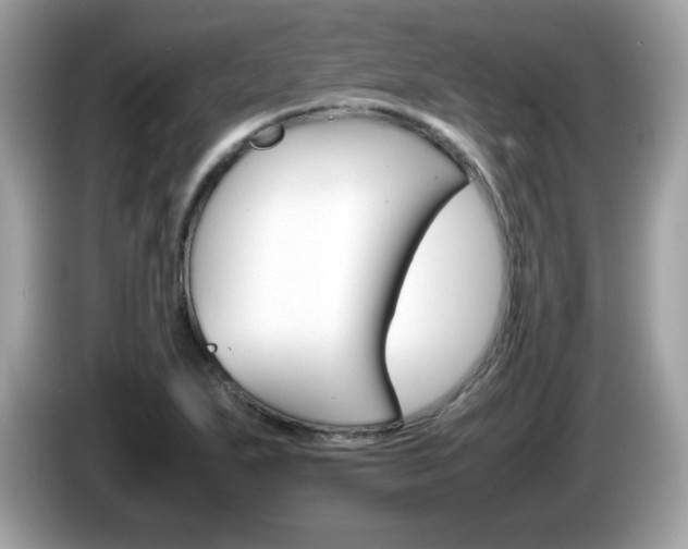 X0000086241271200703290957