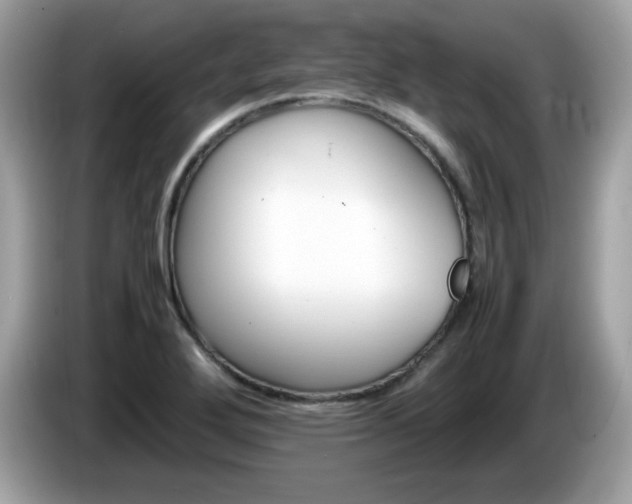 X0000086241272200703290957