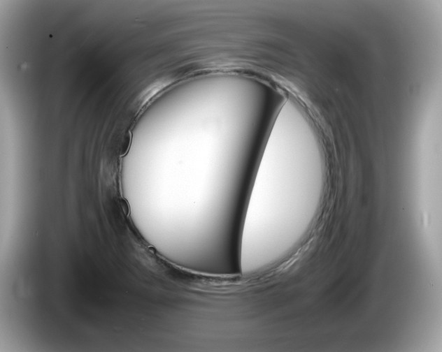 X0000086241273200703290957