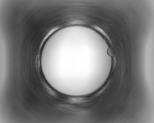 X0000086241274200703290957