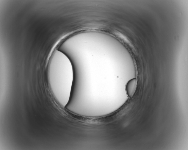X0000086241275200703290957