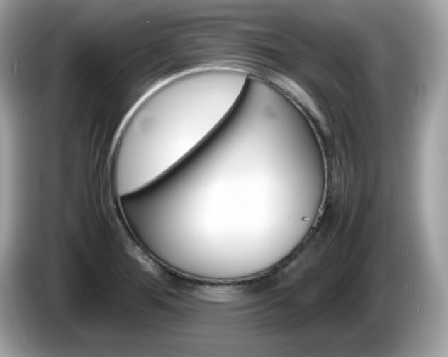 X0000086241276200703290957